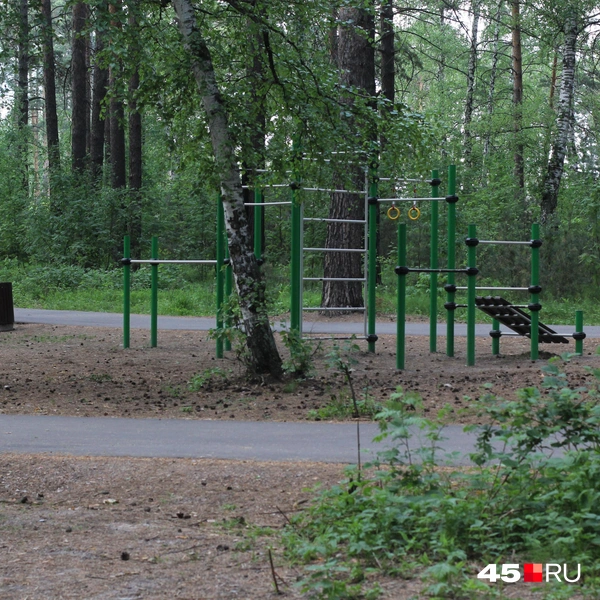 Источник: Александр Лисихин / 45.RU