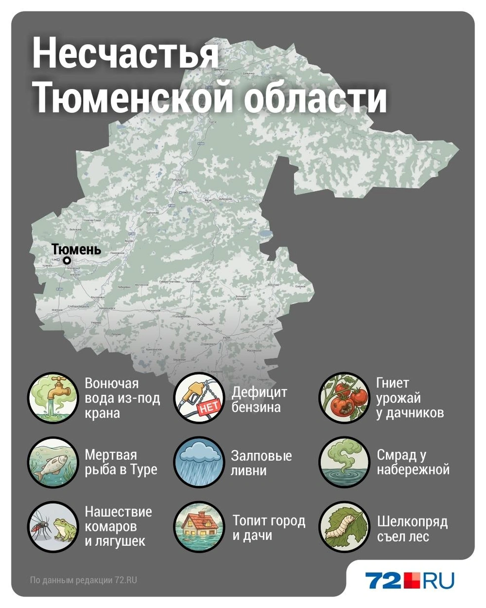 Источник: Дмитрий Гладышев / 72.RU 
