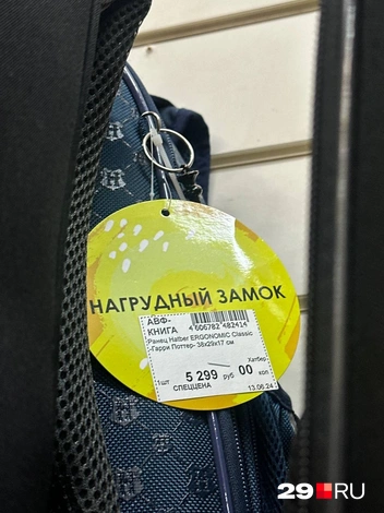 Источник: Анастасия Гусева / 29.RU