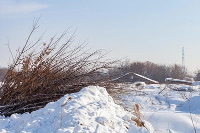 В Новосибирской области исчезли 10 населенных пунктов за два года