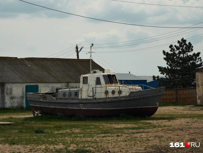 По некоторым видам промысел скоро можно будет закрывать | Источник: Артем Марьенко / 161.RU