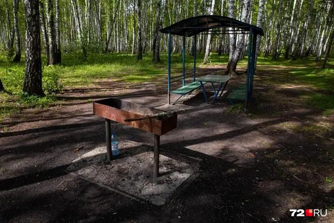 Здесь&nbsp;— три комплекта беседок с мангалами. Некоторые оставляют тут мусор. Не надо так | Источник: Ирина Шарова / 72.RU 