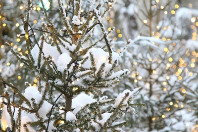 Погода в Удмуртии 20-22 декабря: морозы и снегопады