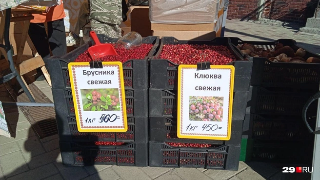 Источник: Юрий Скородумов / 29.RU
