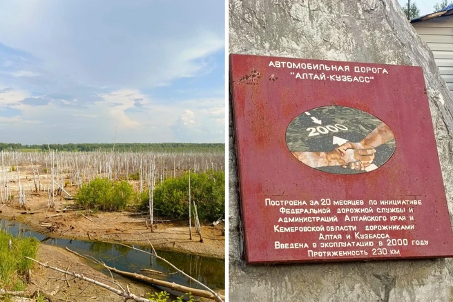 Дорога Алтай — Кузбасс запомнилась спутникам, но они уже планируют новое путешествие | Источник: Вячеслав Гречишников