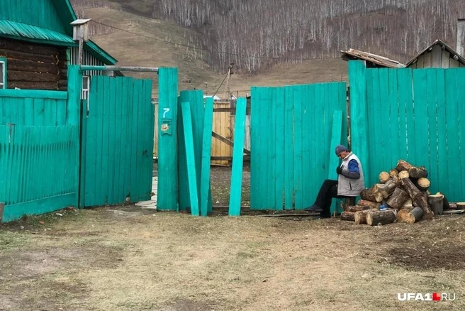 В администрации ищут человека, который приступит к отлову бродячего скота | Источник: Антон Селиверстов