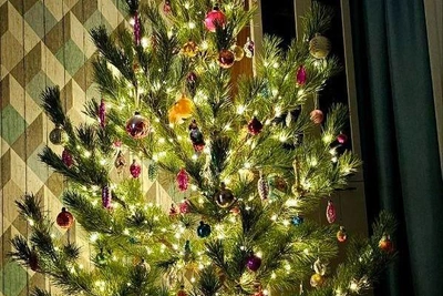 Самарцы показали волшебные новогодние ёлки (и котов)