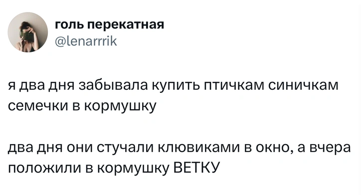 Источник: Twitter (X)