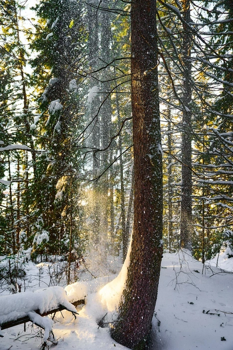 Источник: фотограф Ирина Лаптева Ханты-Мансийск / Vk.com