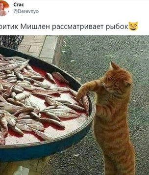 Самые деликатесные шутки про присуждение московским ресторанам мишленовских звезд