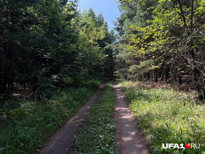 Дорога к вершине | Источник: Андрей Бирюков / UFA1.RU