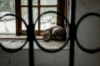 В понедельник в Иркутской области испортится погода
