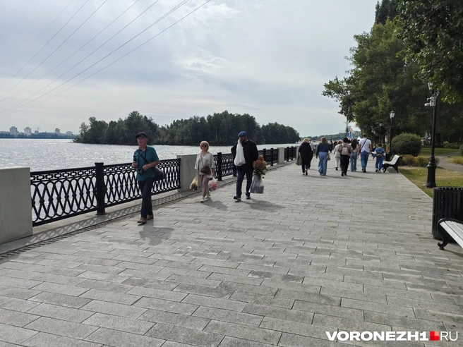 Источник: Андрей Пашинский/Voronezh1.ru
