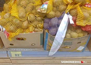 Источник: Алёна Воропаева / Voronezh1.ru