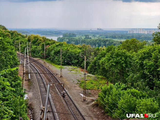 Местные приходят сюда любоваться видами | Источник: Булат Салихов / UFA1.RU