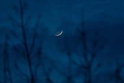 В Воронежской области объявили угрозу атаки БПЛА