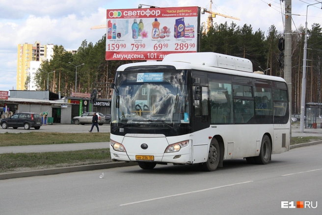 Автобус № 054 предлагается убрать совсем | Источник: Роман Марьяненко / E1.RU