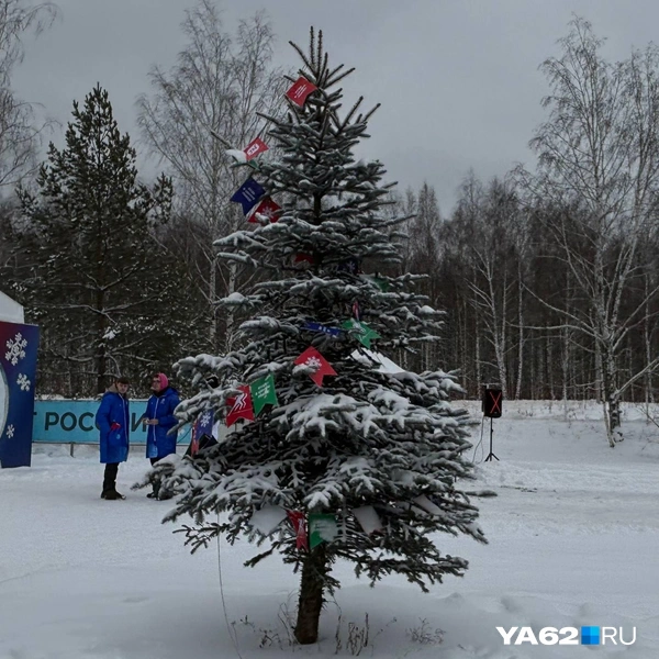 А настроения придает елочка | Источник: Виктория Улитова / YA62.RU