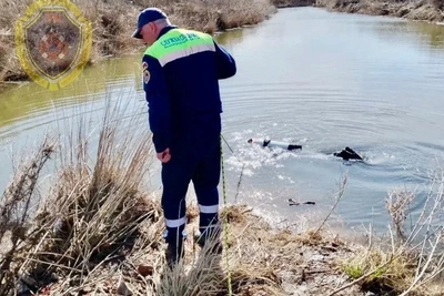 В Волгоградской области ищут телефон убитой пенсионерки