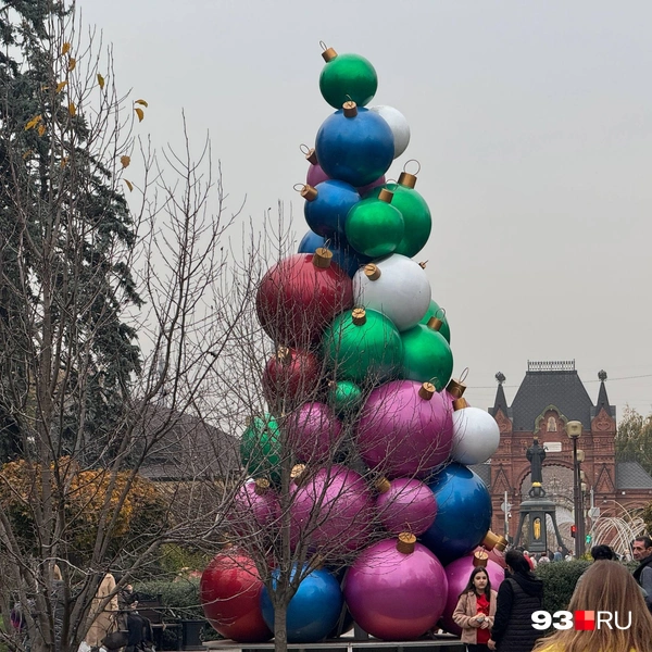 Источник: Дарья Паращенко / 93.RU