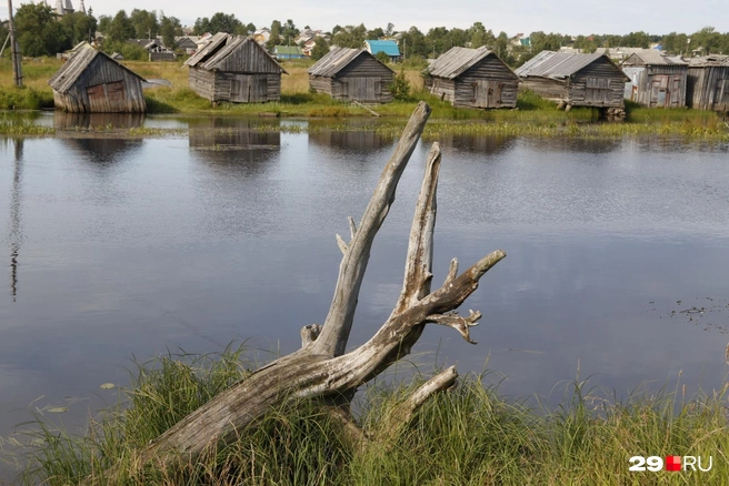 Лодочные сараи постепенно уходят под воду | Источник: Сергей Яковлев