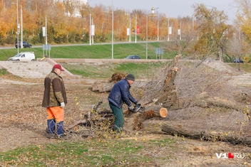 Источник: Алексей Волхонский / V1.RU