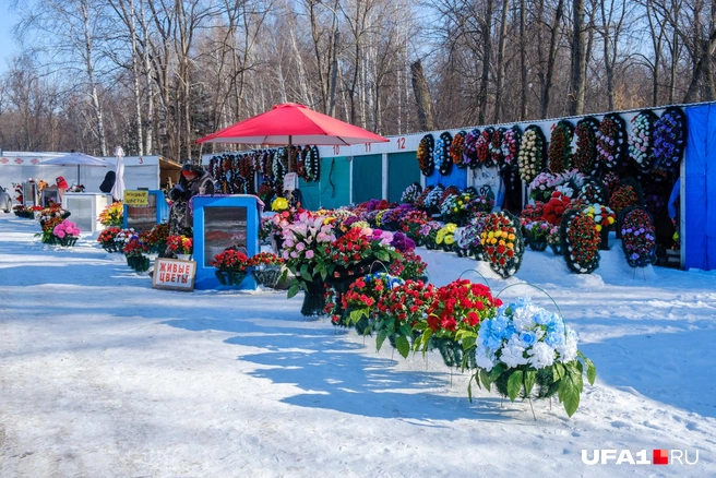 О смерти сестры родственники узнали лишь в этом году  | Источник: Булат Салихов / UFA1.RU 