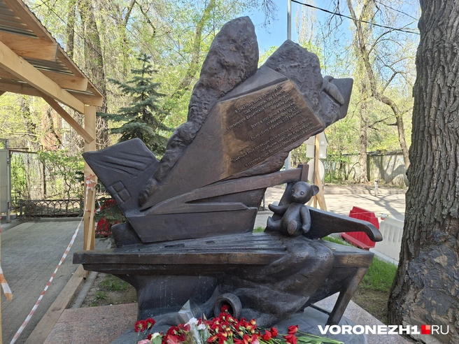 Источник: Алёна Воропаева / Voronezh1.ru