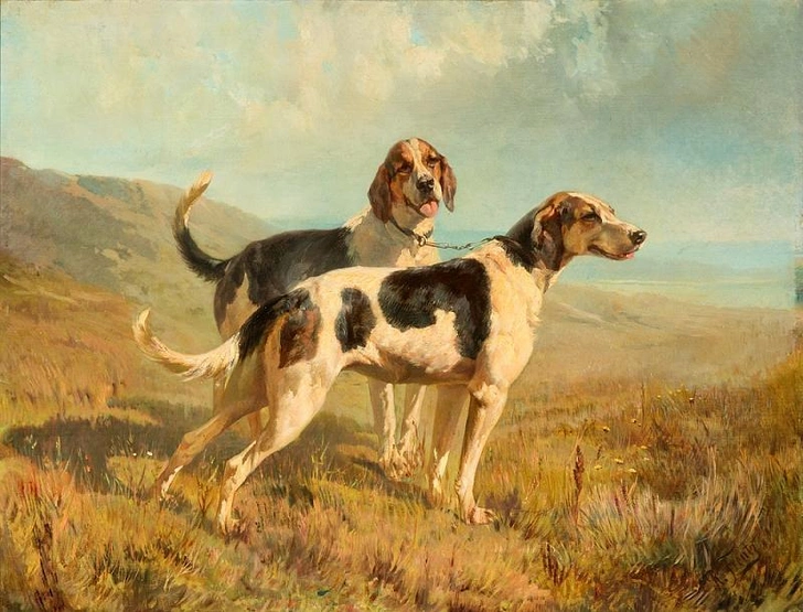 Р. Ф. Френц. «Две гончие», начало 1870-х. ГРМ. | Источник: rusmuseum.ru