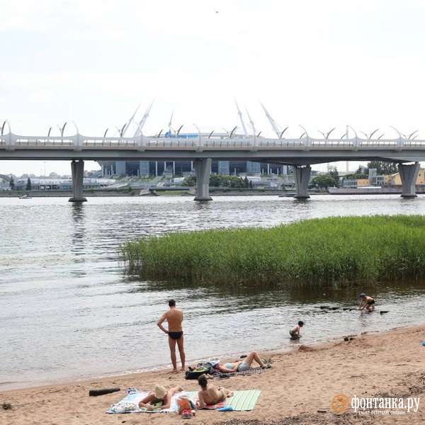 Источник: Сергей Михайличенко / «Фонтанка.ру»