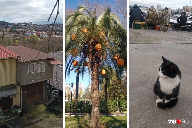 Жительница Ярославля переехала в Сочи и рассказала про изнанку жизни в городе-курорте | Источник: Наталья