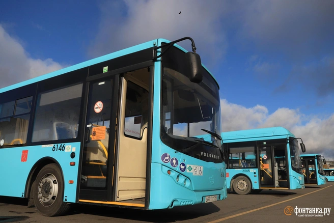 Автобусы будут ходить каждый час, а иногда и чаще | Источник: Сергей Михайличенко / FONTANKA.RU