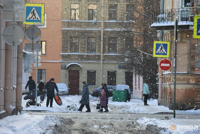 Пешеходы вязли в снегу, смело выгуливали животных (что рождало множество мемов) и пытались протолкнуть коляски