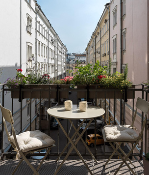 Зеленый оазис на балконе: 5 растений, которые помогут перенести жару