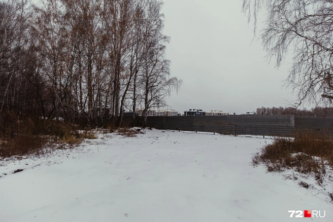 Раньше была небольшая дорога через поле, но ее закрыл застройщик | Источник: Ирина Шарова / 72.RU