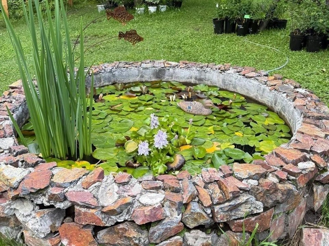 Экопарк привлекает множество туристов | Источник: Вера Фукс