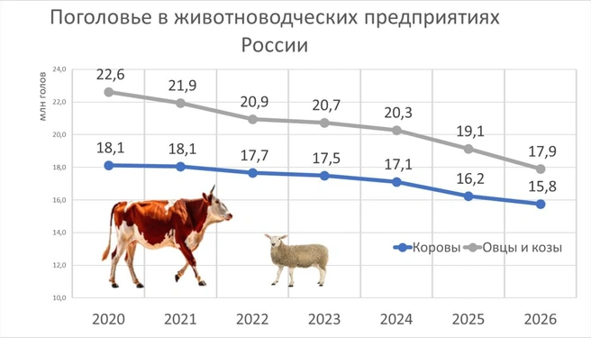 Источник: «Фонтанка.ру»