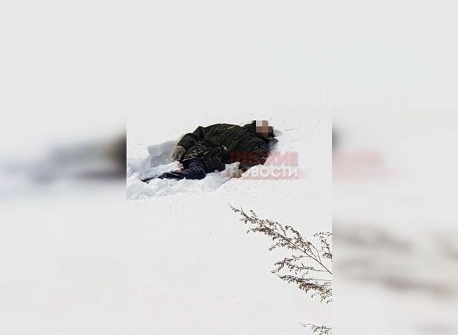 В Новосибирской области пожилой мужчина замерз насмерть у железной дороги | ya62.ru