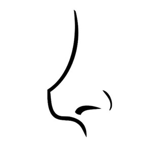 Тест: посмотрите на свой нос, а мы назовем главную особенность вашего характера