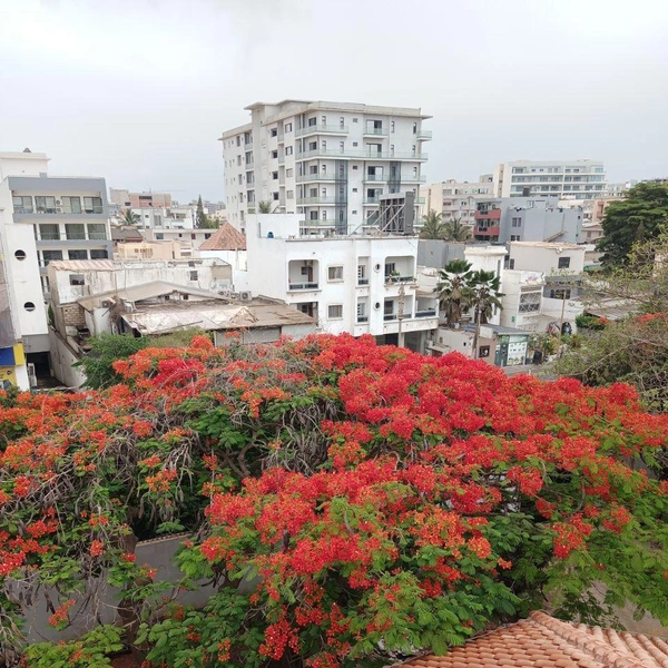 Источник: Николай Михалев