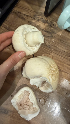 Изображение пользователя