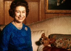 Собаки ее величества: за что королева Елизавета II так сильно любила корги