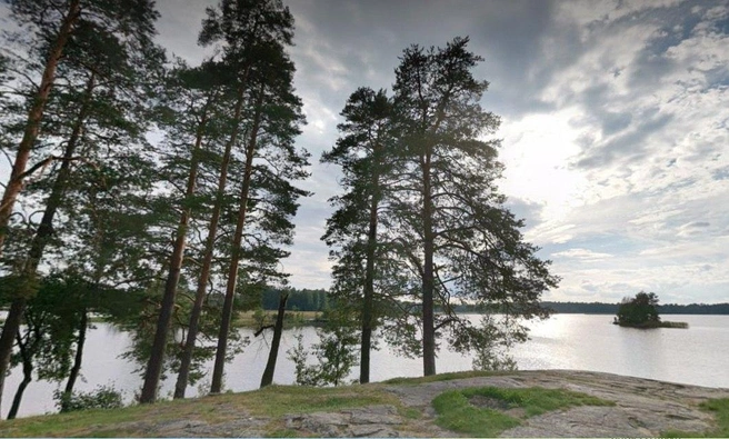 Парк на острове Каменистом | Источник: панорамы «Яндекс.Карт»