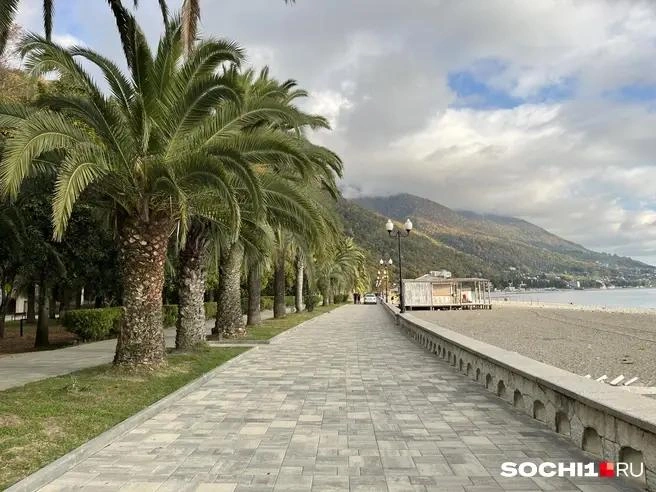 Источник: Анна Грицевич / SOCHI1.RU