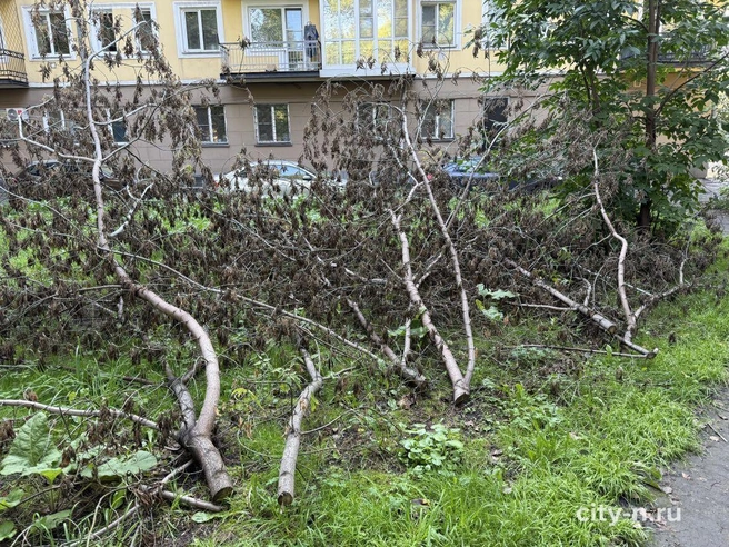 Источник: city-n.ru