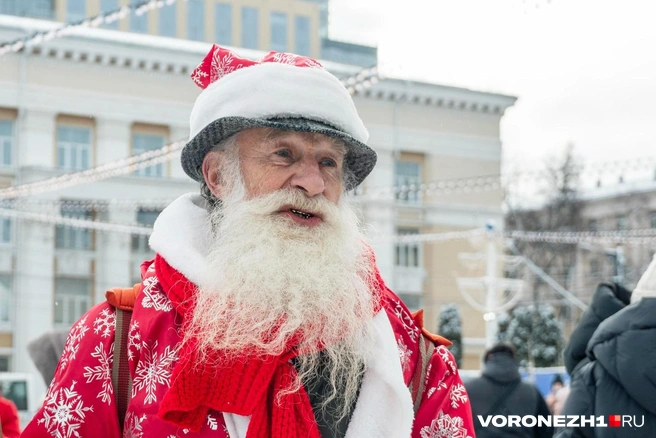 Источник: Дмитрий Волгин / Voronezh1.ru