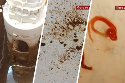 Жители томского села жалуются на воду с глиной и червями