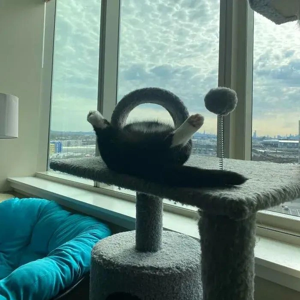 Источник: соцсети