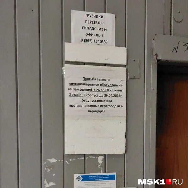 Источник: Екатерина Рябчук / MSK1.RU