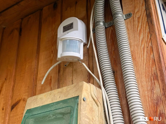 Заключенные перерезали провода датчиков движения | Источник: Дарья Костомина / E1.RU